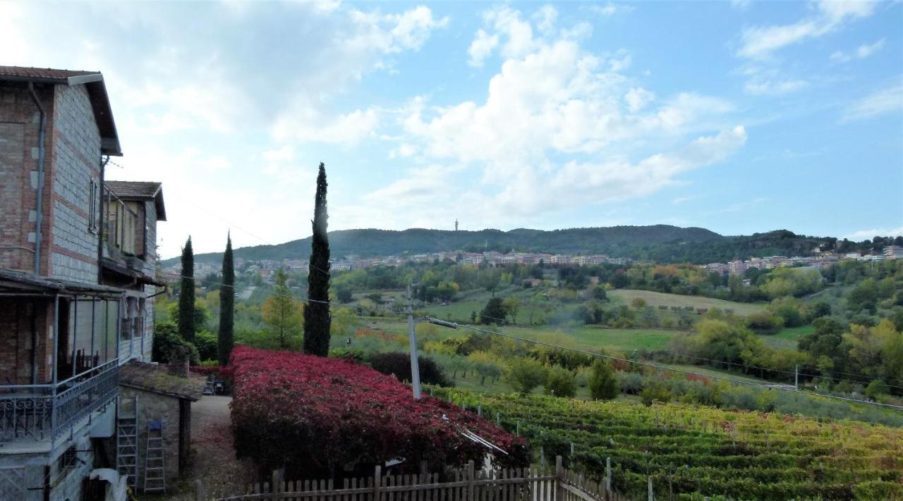 Agroturismo La Pietriccia Chianciano Terme