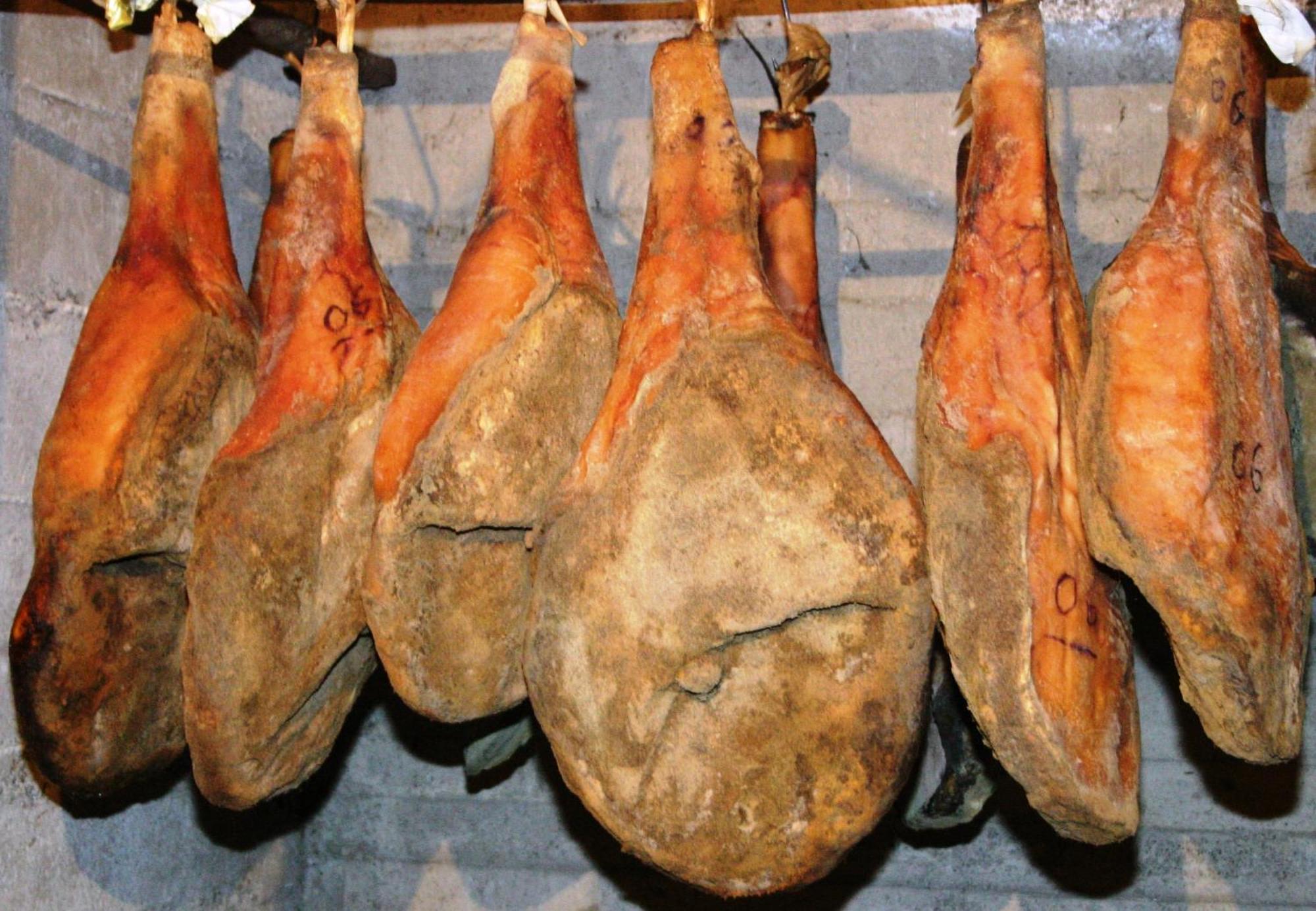 Agroturismo La Pietriccia Chianciano Terme