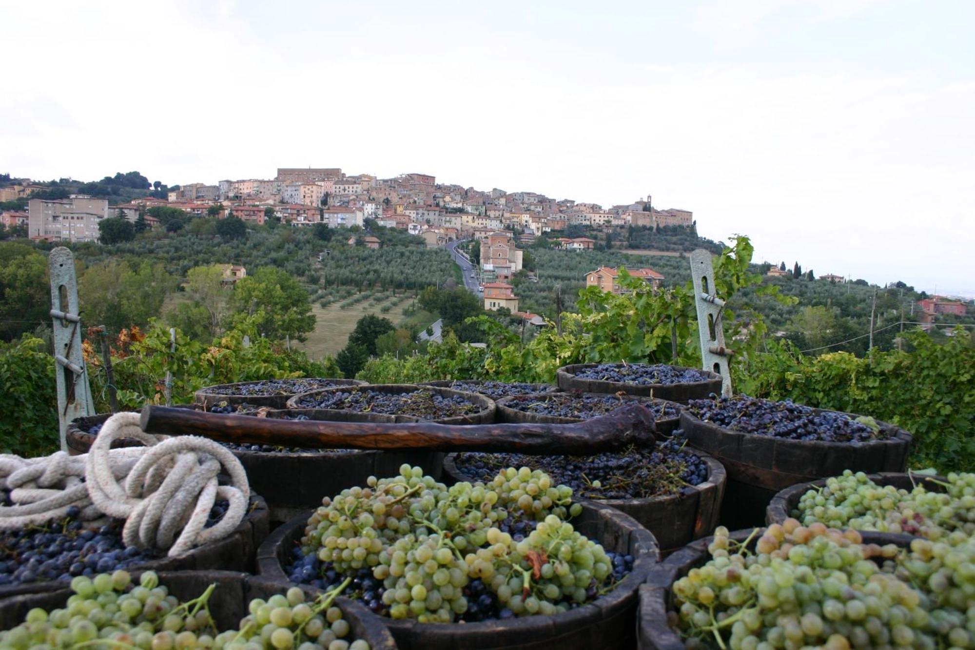 Agroturismo La Pietriccia Chianciano Terme