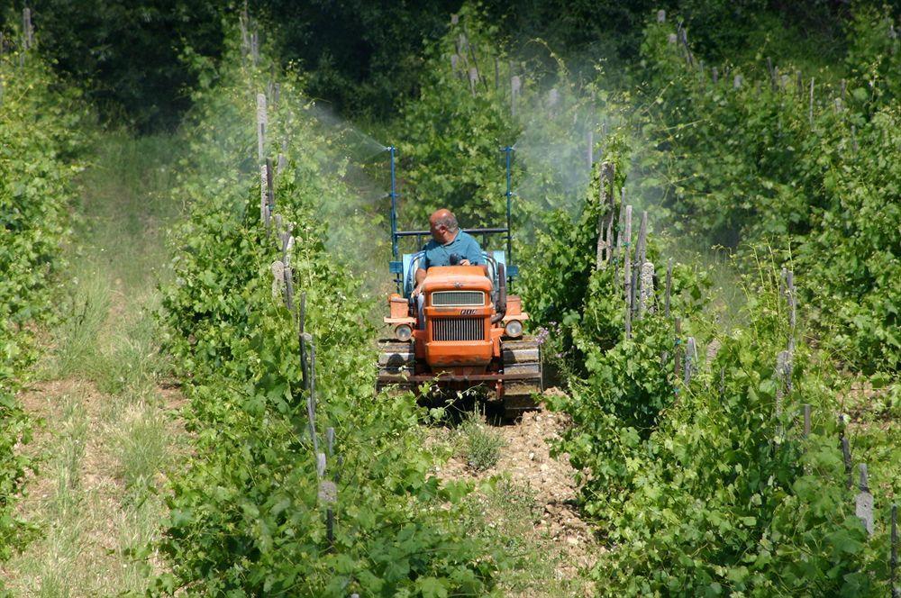 Alojamento de Turismo Rural La Pietriccia *