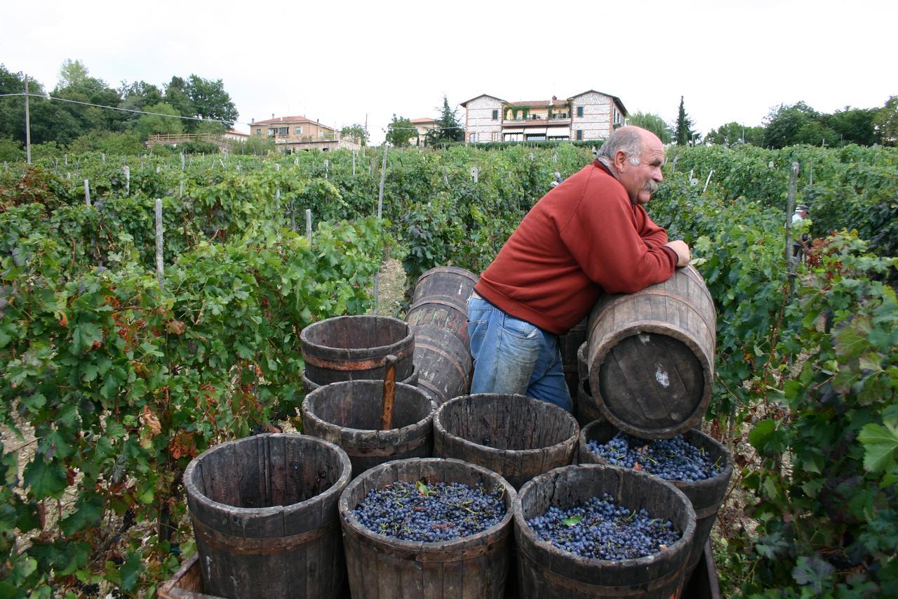 La Pietriccia *
