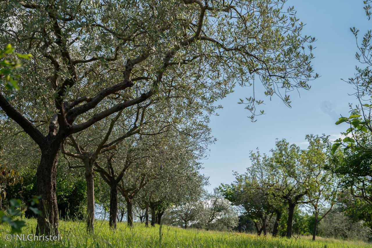 La Pietriccia Chianciano Terme