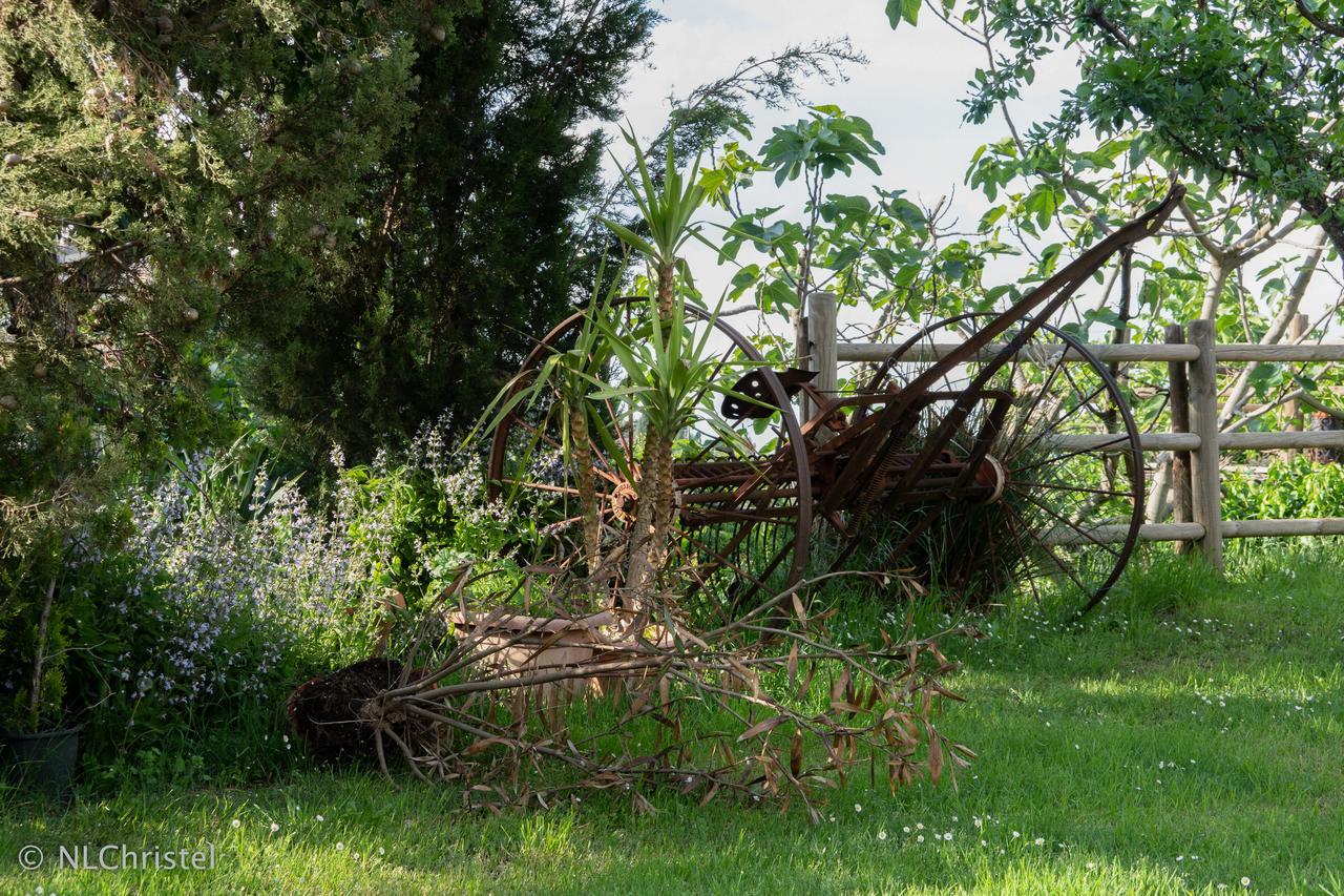 Agroturismo La Pietriccia *