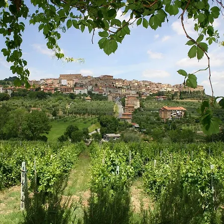 Agriturismo La Pietriccia Chianciano Terme Exterior photo