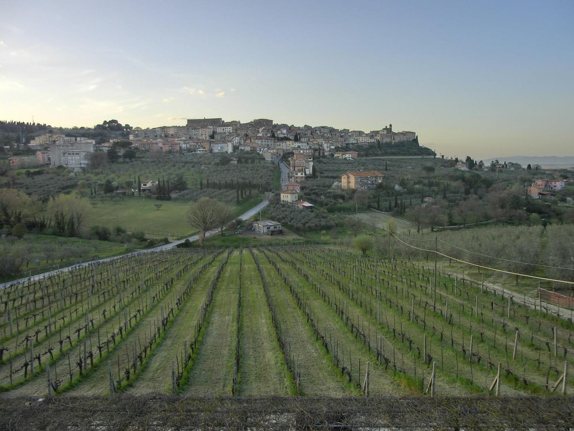 La Pietriccia Chianciano Terme
